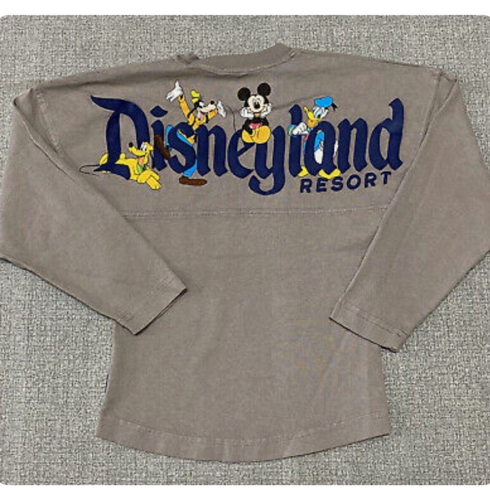 ISO child medium gray disneyland spirit jersey